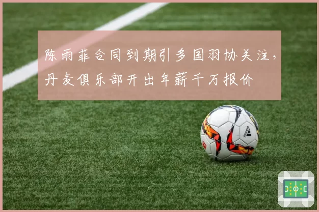 陈雨菲合同到期引多国羽协关注，丹麦俱乐部开出年薪千万报价