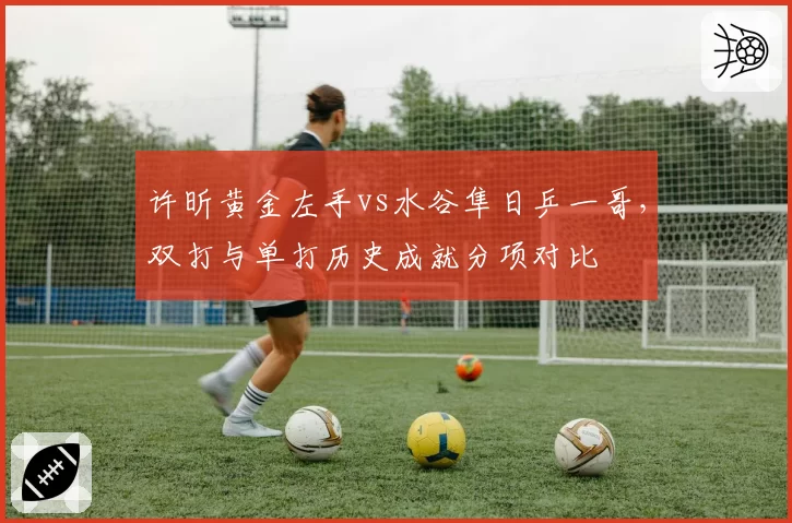 许昕黄金左手vs水谷隼日乒一哥，双打与单打历史成就分项对比